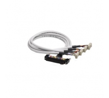 2903503