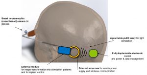 Leti CorticalSight NESD DARPA